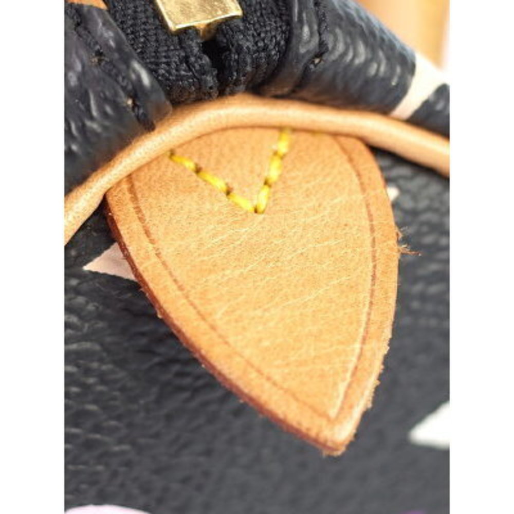 Louis Vuitton Multicolor Speedy Handbag - Picture 7 of 8